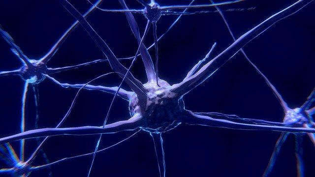 células do sistema nervoso com covid-19