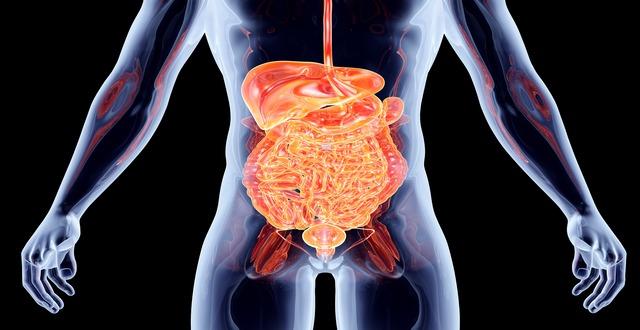 stride ii: o que há de novo nos alvos terapêuticos das doenças inflamatórias intestinais?