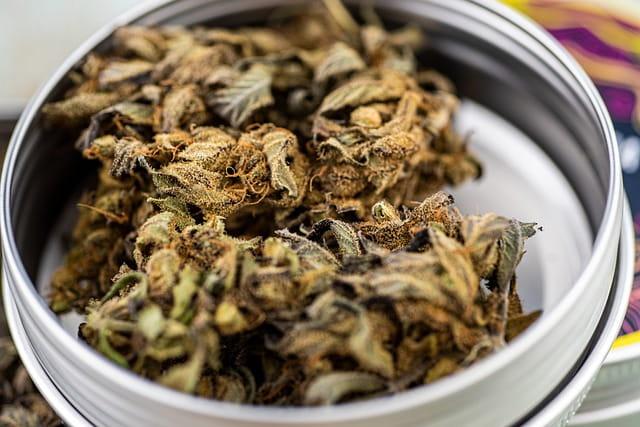 Cannabis para dor neuropática