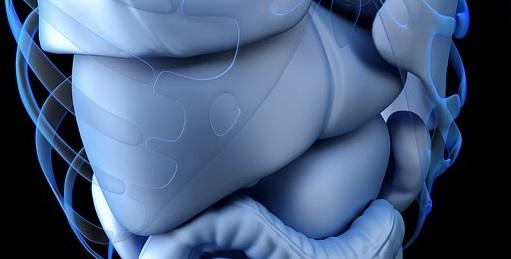 Doença hepática gordurosa associada ao metabolismo e fibrose hepática em pacientes com DII