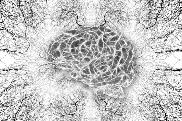 Novos critérios diagnósticos para angiopatia amiloide cerebral