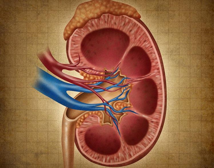 Lesão renal aguda na cirrose hepática: abordagem prática