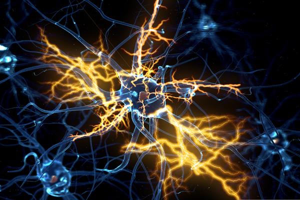 Associações entre infecções e doenças neurodegenerativas