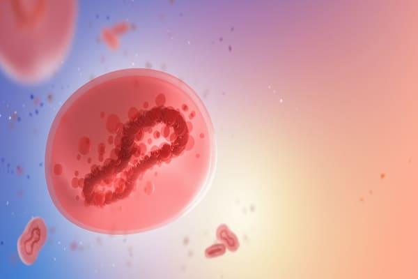 Varíola dos macacos: Ministério da Saúde monitora duas suspeitas de casos no Brasil