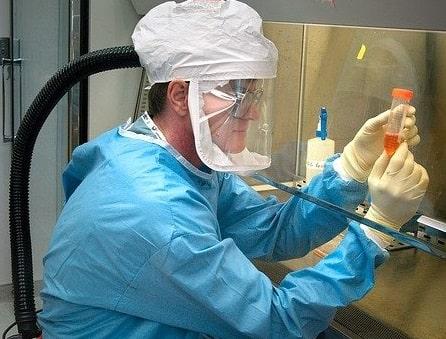 Quadro clínico e possíveis formas de transmissão do Langya henipavírus