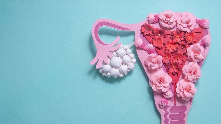 SOGESP 2025 - Trabalhos premiados em Ginecologia