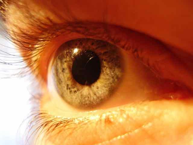 olho com hepatite