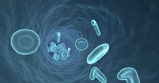 Representação gráfica de uma veia de humanos, que podem ser afetados por púrpura trombocitopênica trombótica