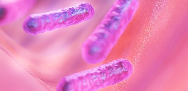 Epidemiologia de C. difficile no Brasil: dados de 30 anos em revisão sistemática