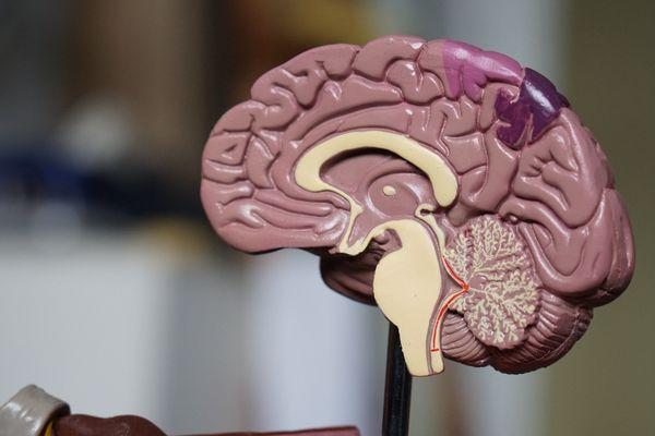 O que o médico deve saber sobre o Transtorno Dissociativo de Identidade (TDI)?