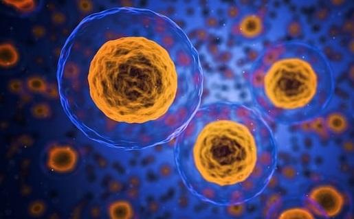 , quais seus sintomas e tratamentos disponíveis