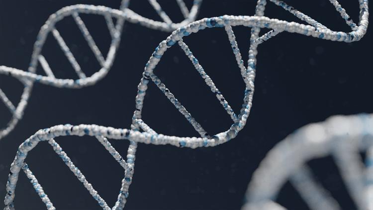 Genótipo versus fenótipo no prognóstico das miocardiopatias