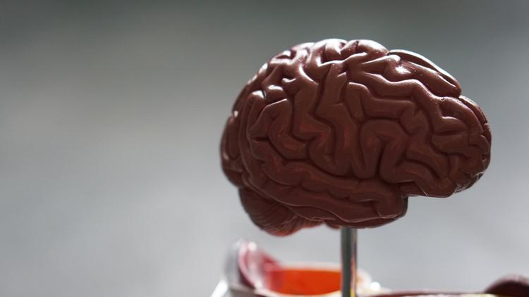 Angioplastia versus tratamento clínico na estenose intracraniana sintomática