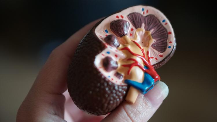 Empagliflozina na IRC com ou sem diabetes: os resultados do estudo EMPA-KIDNEY