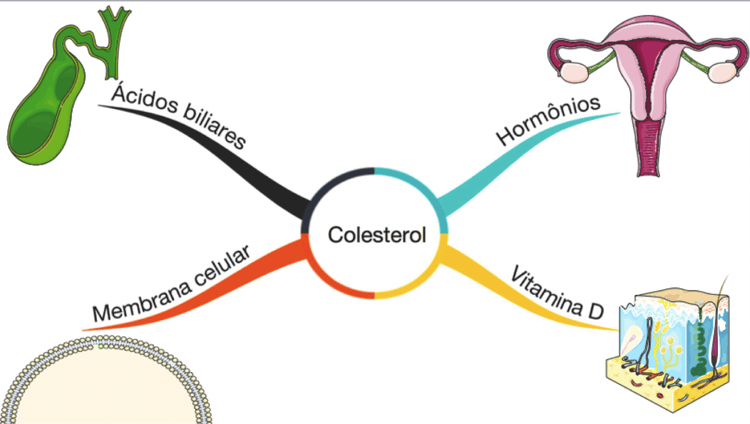 Como definir o risco cardiovascular de acordo com as novas diretrizes americanas?