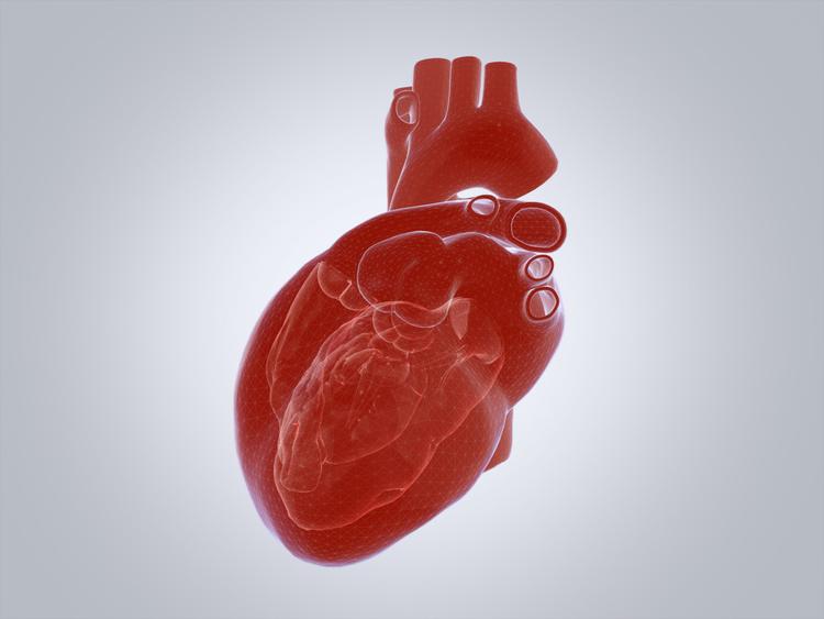 Controle de Ritmo Precoce na Fibrilação Atrial e Alto Risco Cardiovascular – É uma Boa Estratégia?