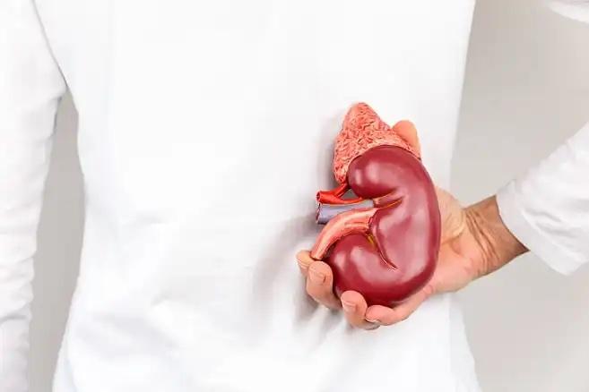 A eficácia de DOAC muda com a função renal?