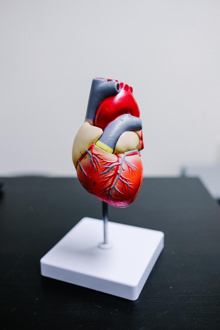 Uso de estatinas para a prevenção primária de doenças cardiovasculares em adultos