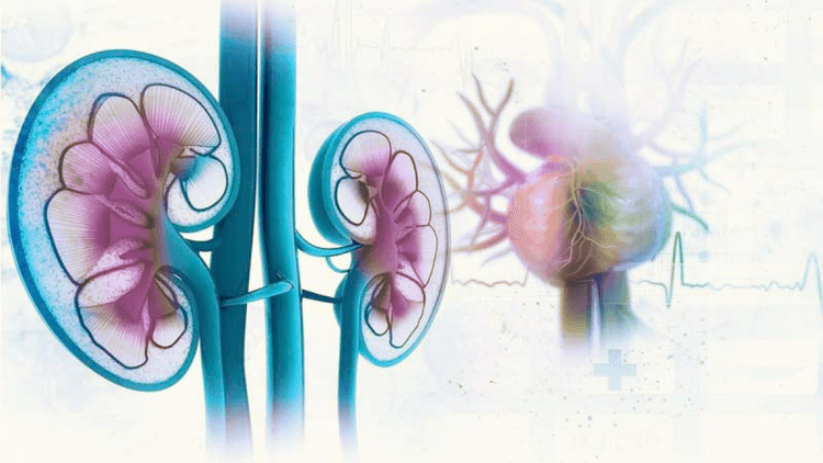 Devo suspender dapagliflozina no paciente com IC e deterioração da função renal?