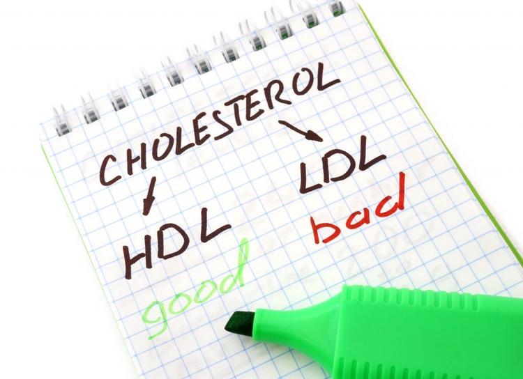 Colesterol HDL alto: quanto maior melhor? Não é bem assim...